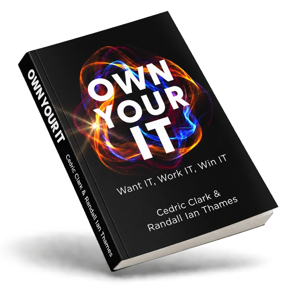 The Own Your IT book