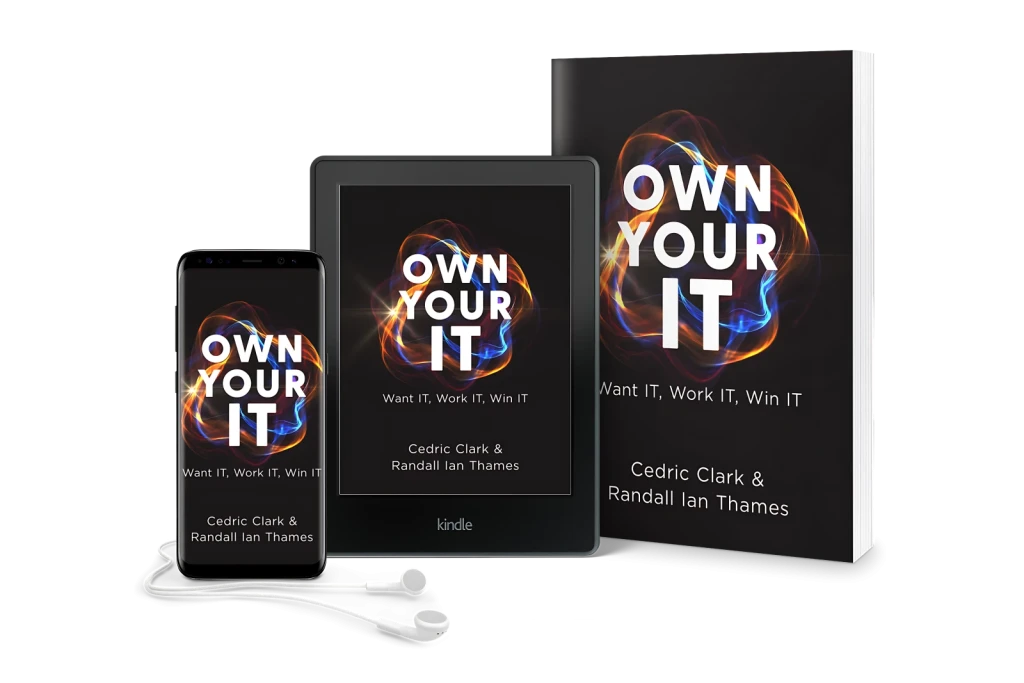 Own Your IT in paperback, Kindle and audiobook