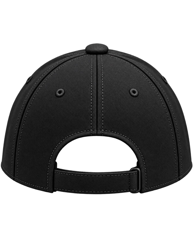 IT Factory Hat, back